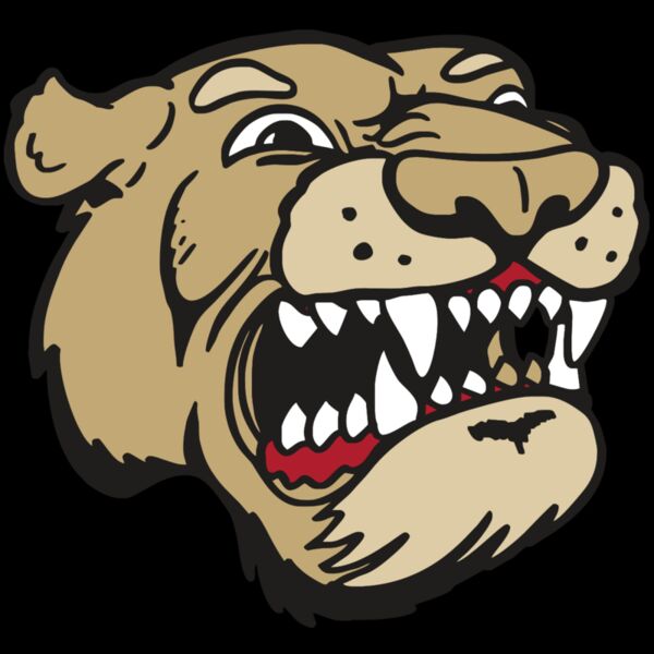 AR5 COUGAR 04 RQC Thumbnail