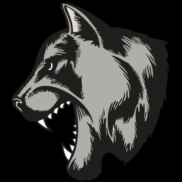 BAW COUG PANTH 06 RC Thumbnail