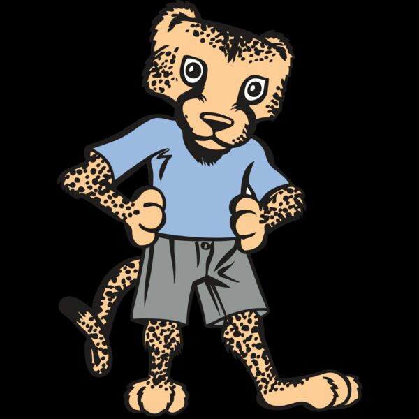 BAW CHEETAH 03 RC Thumbnail