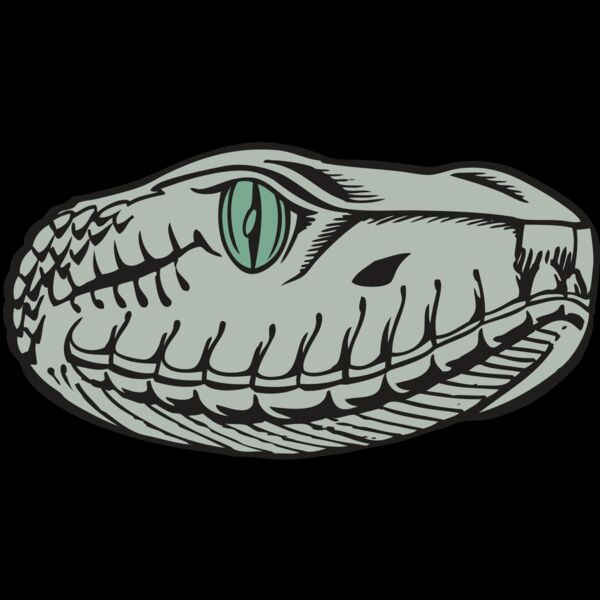 BAW SNAKE 10 RC Thumbnail